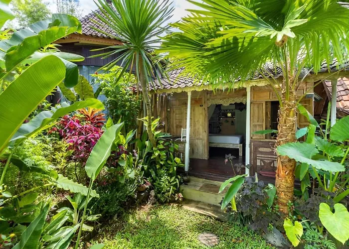 Bali Brothers Guest house 4*